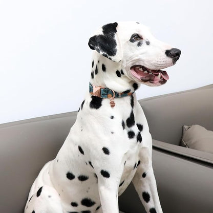 Peach Summer Cotton Dog Collar with Metal Buckle