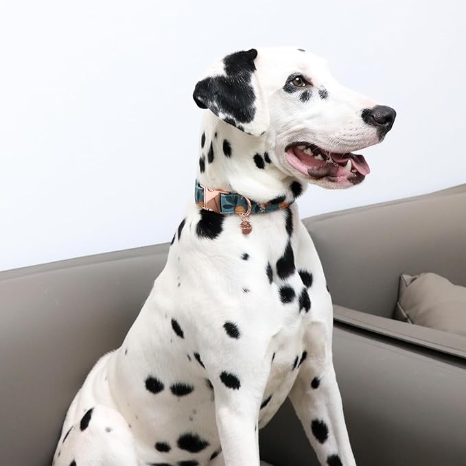 Peach Summer Cotton Dog Collar with Metal Buckle