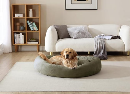 Arlee Orbit Orthopedic Memory Foam Dog Bed