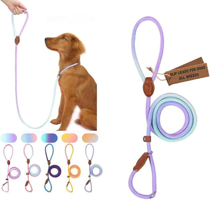 Slip Leads for Dogs (5 Foot 1/2")