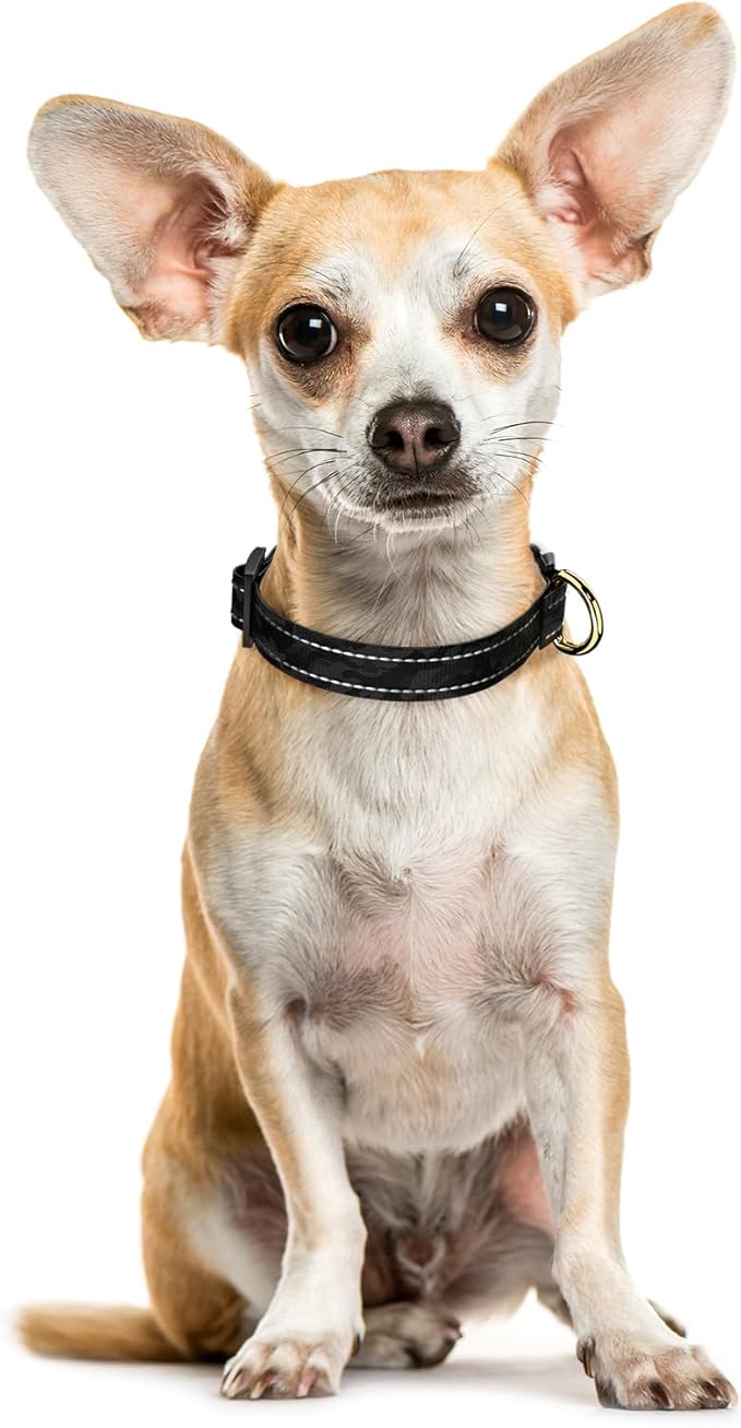 Reflective Dog Collar