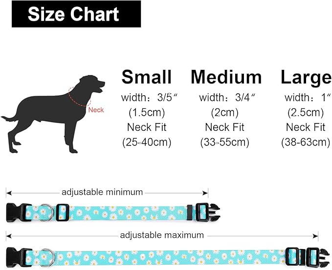 Adjustable Dog Collar with Patterns