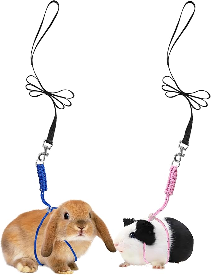 Handmade Figure 8 Harness and Leash for Ferrets/Bearded Dragons/Guinea Pigs/Rats/Chinchillas/Reptiles/Birds/Squirrels/Small Animals