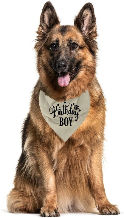 Birthday Dog Bandana 1st Birthday (A19)