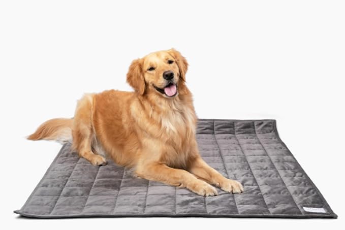 Gravity Premium Original Weighted Dog Blanket, Calming, Relaxation & Anxiety Relief for Pets, Comfortable & Cozy Blanket for Anxious Dogs, Washable, Grey, Medium, 40 x 32 in, 4 lbs