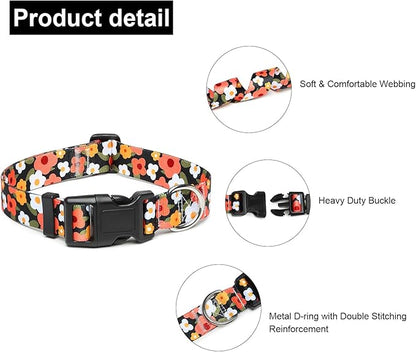 Adjustable Dog Collar with Patterns
