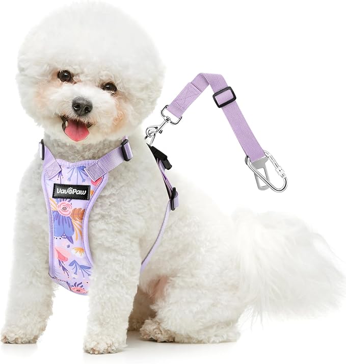 Dog Vehicle Safety Vest Harness, Adjustable Soft Padded Mesh Car Seat Belt Leash Harness with Travel Strap and Carabiner for Most Cars, Medium Size, Purple Flower