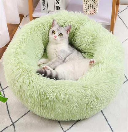 Geizire Cat Bed Dog Bed for Cats