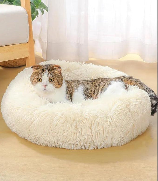 Geizire 20/24 inch Cat Bed Dog Bed for Cats