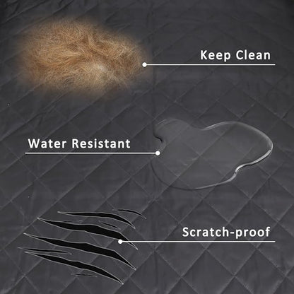 Cargo Liner for Dogs 2020-2024 Dog