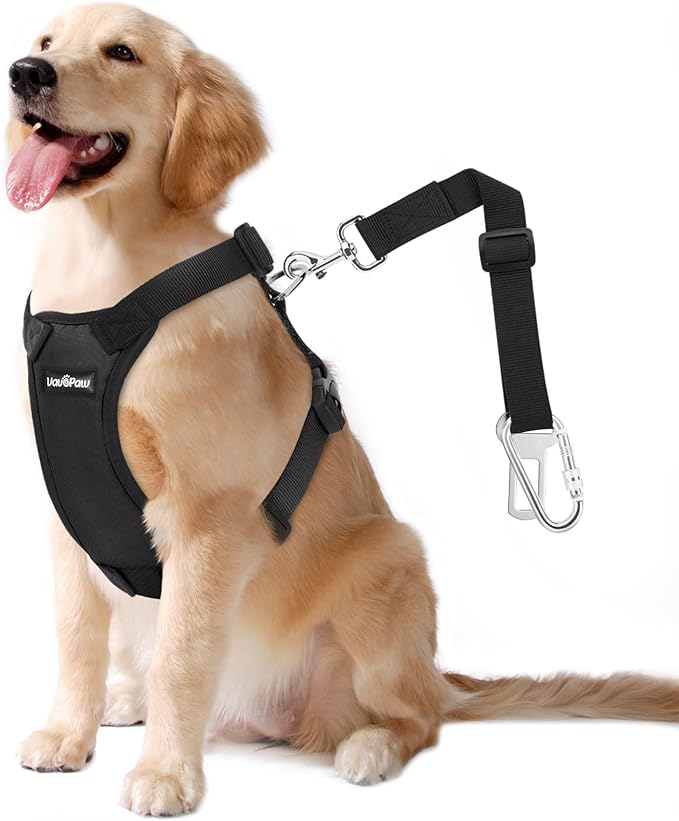 Dog Vehicle Safety Vest Harness, Adjustable Soft Padded Mesh Car Seat Belt Leash Harness with Travel Strap and Carabiner for Most Cars, XXL Size, Black