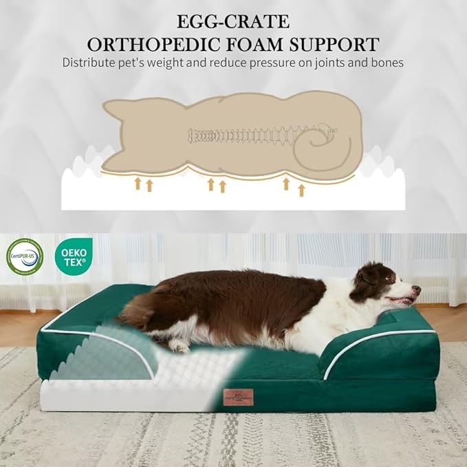Extra Large Dog Beds Jumbo Breed