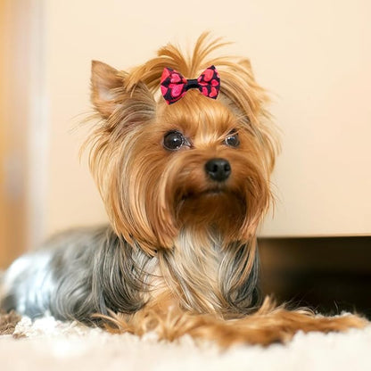 60pcs Dog Hair Bows 30 Beautiful