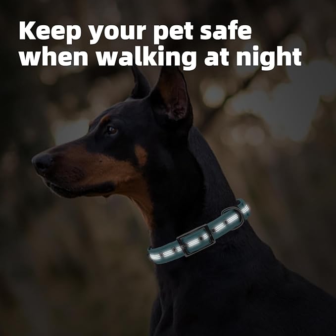 PUPTECK Heavy Duty Dog Collar with Handle Bungee for Small Medium Large Dogs