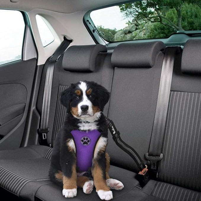 SlowTon Dog Seat Belt Harness for Car, Dog Car Harness Adjustable Mesh Breathable & Dog Seatbelt Safety Tether with Elastic Bungee for Small Medium Large Pets