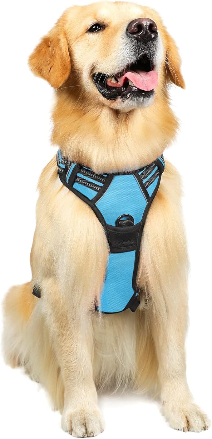 rabbitgoo Dog Harness, No-Pull Pet Harness with 2 Leash Clips, Adjustable Soft Padded Dog Vest, Reflective No-Choke Pet Oxford Vest with Easy Control Handle for Large Dogs, Blue, L