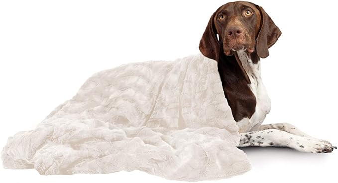 Best Friends by Sheri Calming Cat and Dog 60 lbs 40"x50" Oyster