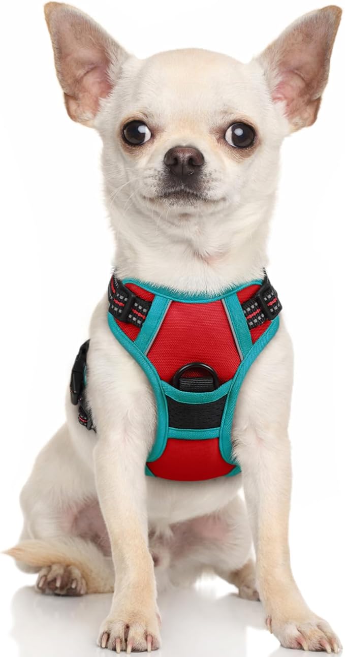 rabbitgoo Dog Harness, No-Pull Pet Harness with 2 Leash Clips, Adjustable Soft Padded Dog Vest, Reflective No-Choke Pet Oxford Vest with Easy Control Handle for Large Dogs, Red & Teal, X-Small