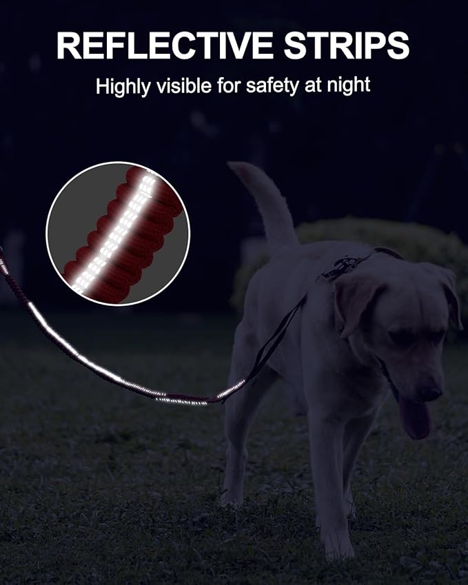 Joytale Tactical Dog Leash Heavy Duty 4-6FT Shock 2 Padded