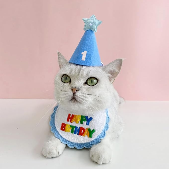 Dog Cat Birthday Party Supplies Outfit Bandana Bib