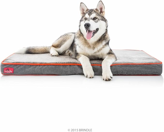 Brindle Waterproof Designer Memory Foam Pet Bed-Removable Machine Cover-4 Inch