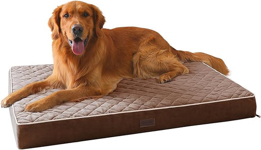 SunStyle Home Orthopedic Dog Beds for XX-Large Dogs