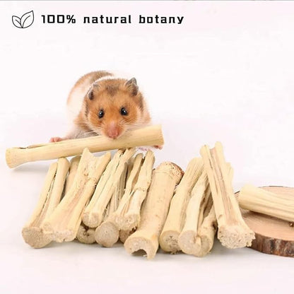 2lb Sweet Bamboo Chew Toy Natural Sweet Bamboo Animals Molar Chew Sticks Toys Pet Snacks Bamboo Sticks Treats