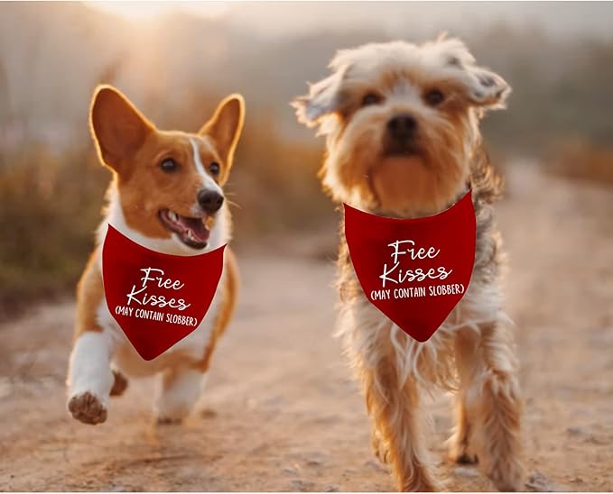 JXGZSO 1 Piece Free Kisses/Will You Be My