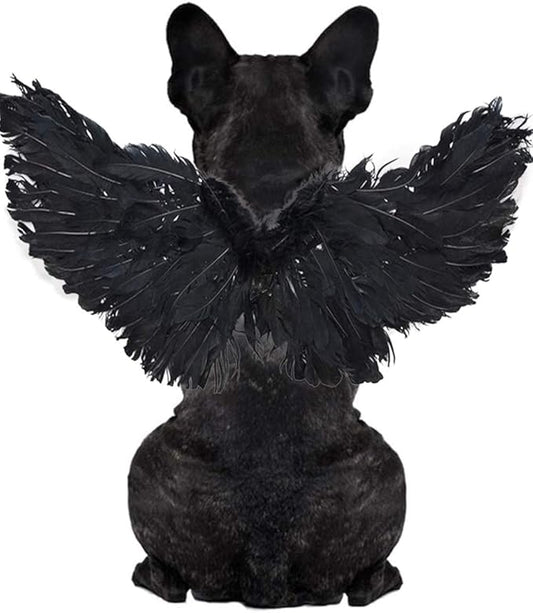 WeeH Pet Halloween Costume Cosplay Angel Devil Black White Wing for Dog Cat Rabbit Piggy - Funny Gift at Halloween Party Anime Theme Birthday Christmas (Black, Small)