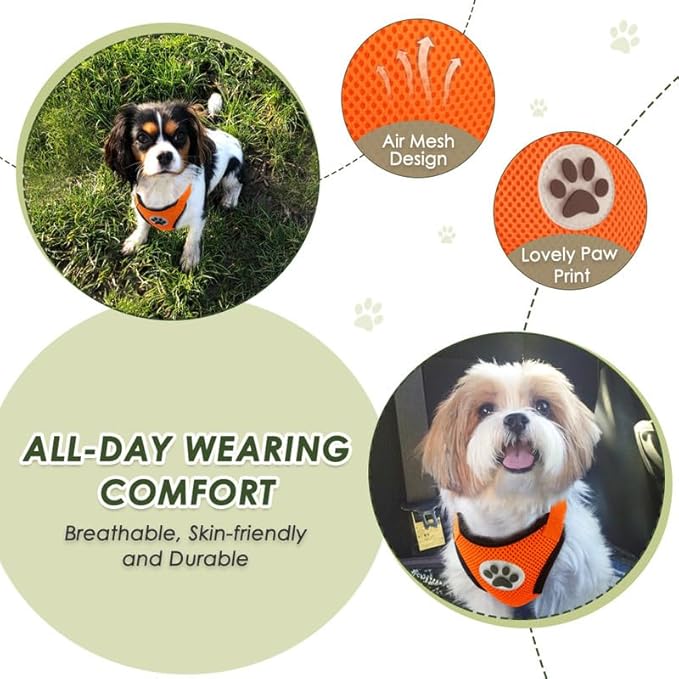 SlowTon Dog Seat Belt Harness for Car, Dog Car Harness Adjustable Mesh Breathable & Dog Seatbelt Safety Tether with Elastic Bungee for Small Medium Large Pets(Orange, Double Clip, XXS)