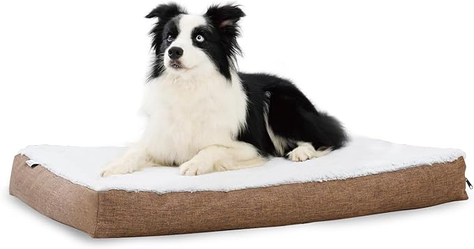 Dog Beds 20 lbs