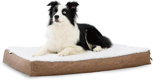 Dog Beds 20 lbs