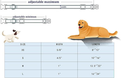 Lionheart glory Dog Collars Fall Halloween Pumpkin Collar