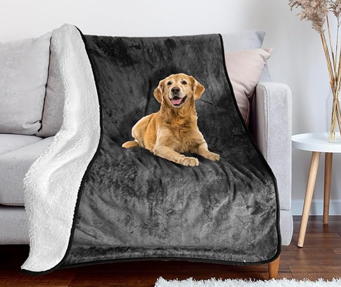 Bucephalus Waterproof Dog Blanket (Gray,50"×60")