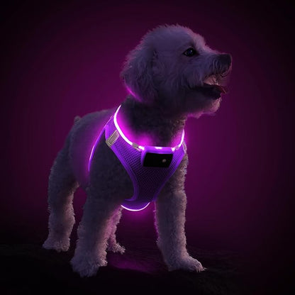 PcEoTllar Light Up Dog Harness, LED Dog Harness for Puppy Small Medium Dogs, Rechargeable No Pull Reflective Dog Harness, Flashing Lighted Dog Harness for Night Walking (Purple,M)