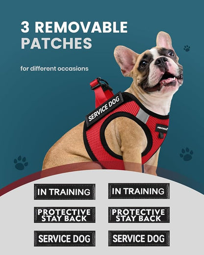 FAYOGOO Service Dog Vest for Small Breed - Lightweight Dog Harness with 6PCS Removable Patches - Puppy Harness and Leash Set for Walking,Training