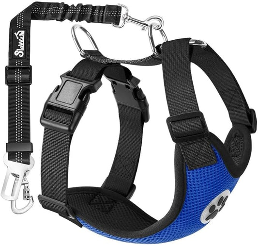 SlowTon Dog Seat Belt Harness for Car, Dog Car Harness Adjustable Mesh Breathable & Dog Seatbelt Safety Tether with Elastic Bungee for Small Medium Large Pets(Blue, Double Clip, XXXS)