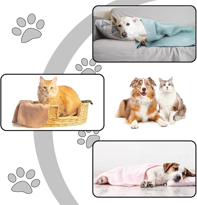 Puppy Dog Blanket, 6 Pack Pet Blankets for Dog Puppy Cats Pets Fleece Blanket Paw Print Dog Blanket for Small Medium Pet Dog Cat Warm Soft Sleep Mat (Multicolored 30 x 20 inches)