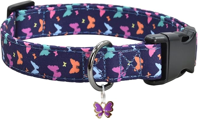Flower Patterns Dog Collar with Accessories Dogs(Butterfly2 L)