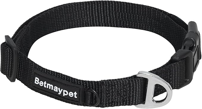 Dog Collar