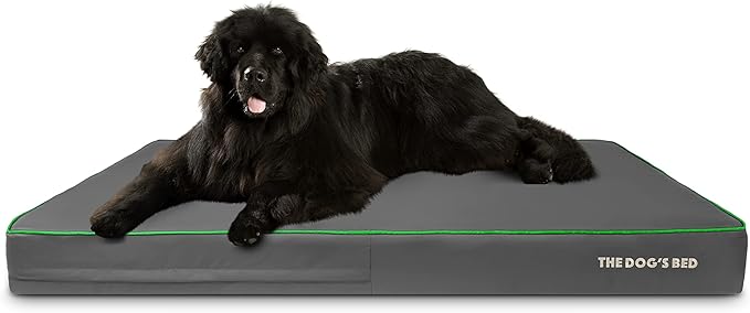 The Dog’s Bed Orthopedic Memory Foam Dog Bed