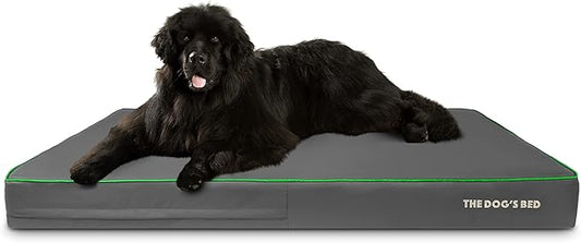 The Dog’s Bed Orthopedic Memory Foam Dog Bed
