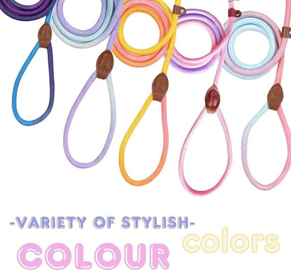 Slip Leads for Dogs (5 Foot 3/16")