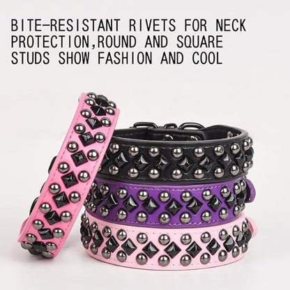 Dog Collars for Small Dogs