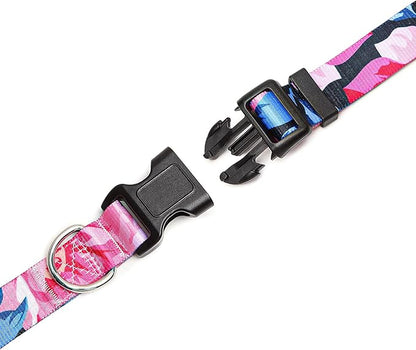 Adjustable Dog Collar with Patterns