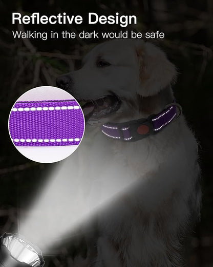 Reflective Dog Collar