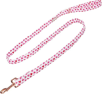 Valentine's Day Dog Leash Durable Handmade Dog Leashes 150cm