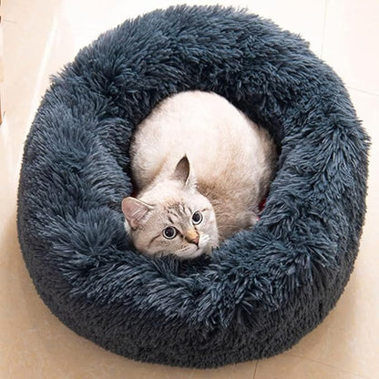 Cat Beds for Indoor Cats 20/24 inches,
