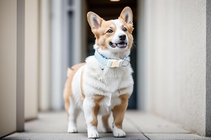 Breathable Cotton Dog Collar