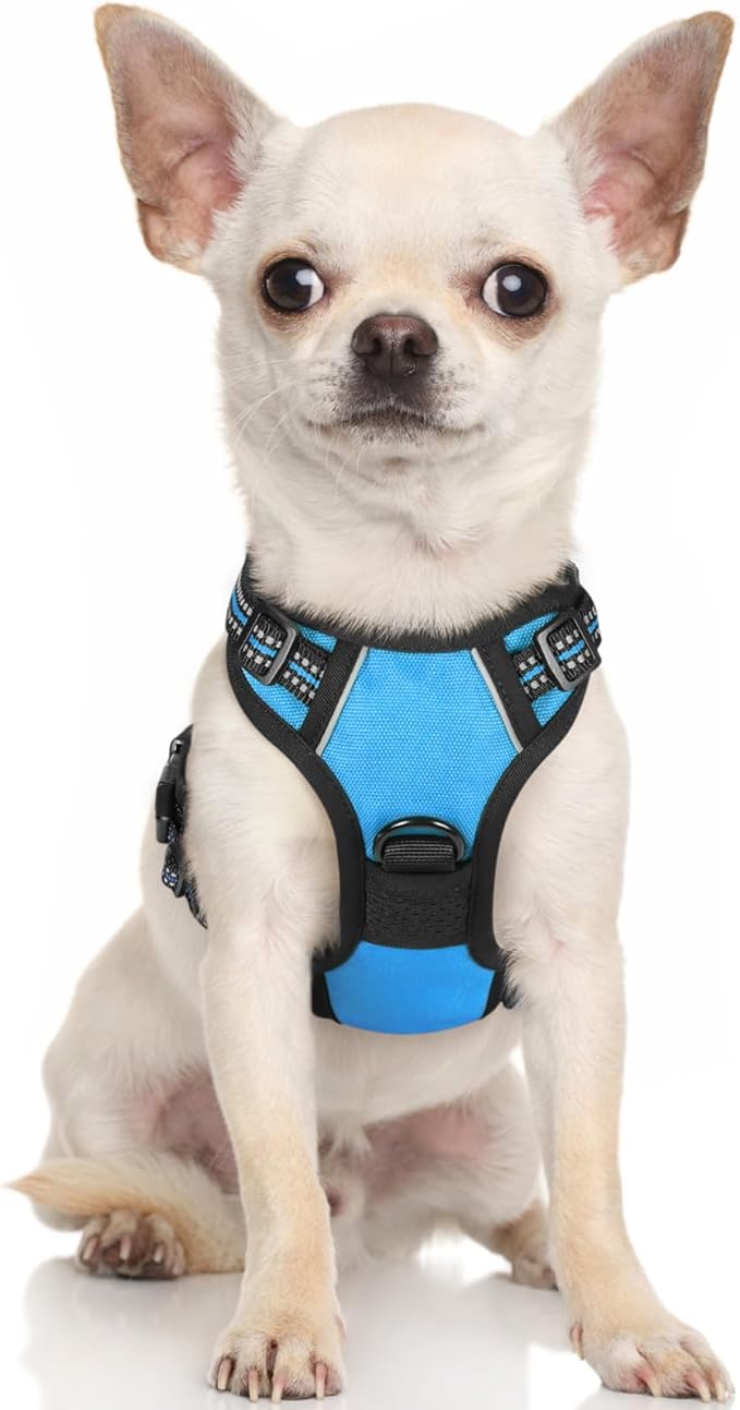 rabbitgoo Dog Harness 2 Leash